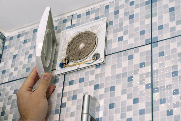 Best Air Vent Cleaning Services  in Alexander, AR