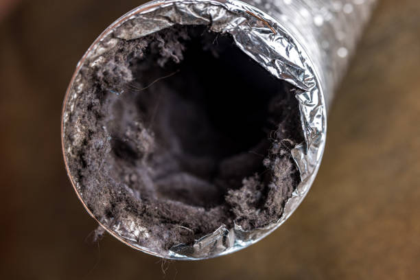 Best Commercial HVAC Duct Cleaning  in Alexander, AR